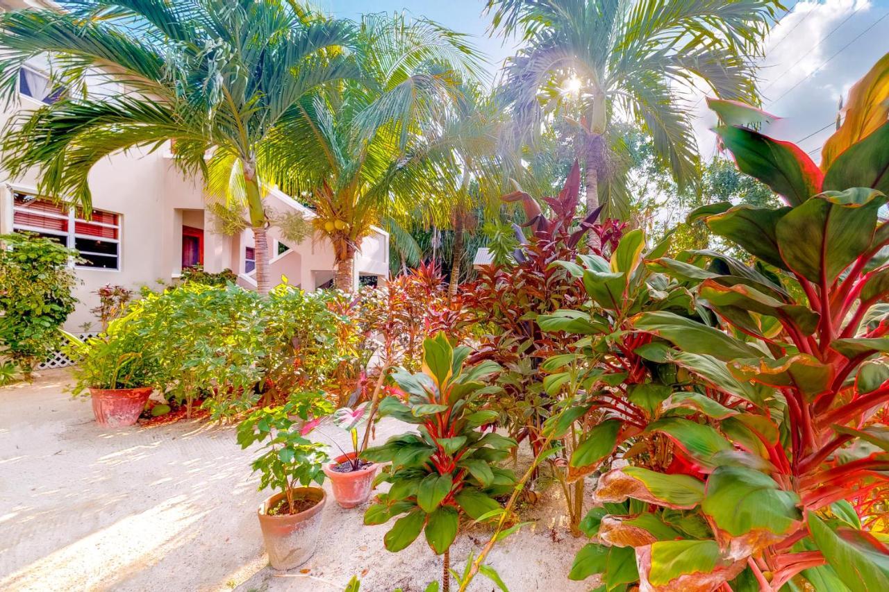 Casa Tranquilidad Apartment San Pedro  Exterior foto